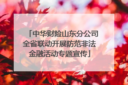 中华财险山东分公司全省联动开展防范非法金融活动专题宣传