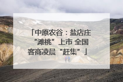 中原农谷：盐店庄“滩桃”上市 全国客商凌晨“赶集”