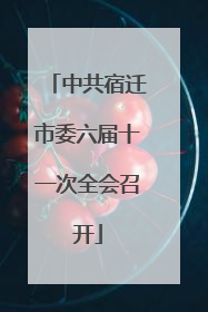 中共宿迁市委六届十一次全会召开
