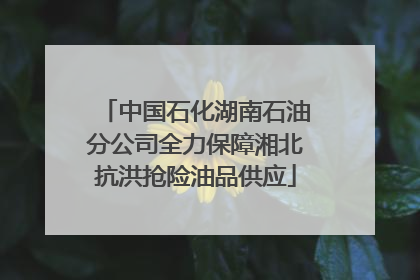 中国石化湖南石油分公司全力保障湘北抗洪抢险油品供应