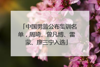 中国男篮公布集训名单，周琦、曾凡博、雷蒙、廖三宁入选