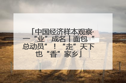 中国经济样本观察·一“业”成名丨面包“总动员”！“走”天下也“香”家乡
