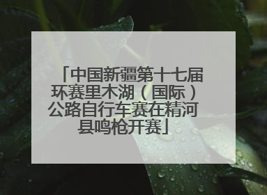 中国新疆第十七届环赛里木湖（国际）公路自行车赛在精河县鸣枪开赛