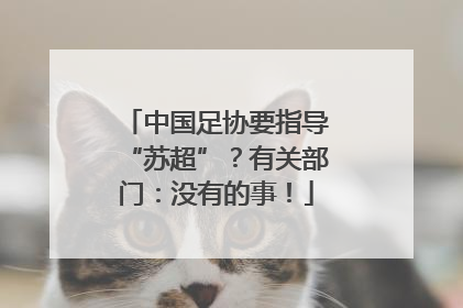 中国足协要指导“苏超”？有关部门：没有的事！