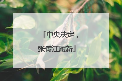 中央决定，张传江履新
