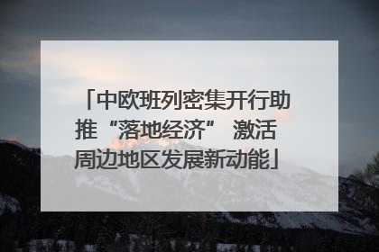 中欧班列密集开行助推“落地经济” 激活周边地区发展新动能