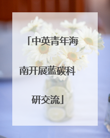 中英青年海南开展蓝碳科研交流