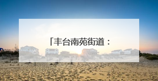 丰台南苑街道：邀请快递小哥逛“端午大集”