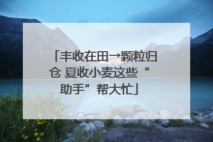 丰收在田→颗粒归仓 夏收小麦这些“助手”帮大忙