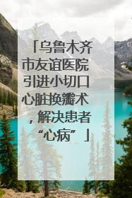 乌鲁木齐市友谊医院引进小切口心脏换瓣术，解决患者“心病”