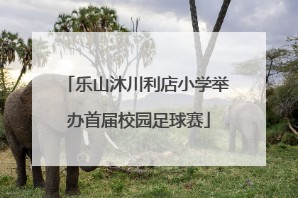乐山沐川利店小学举办首届校园足球赛