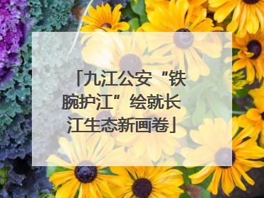 九江公安“铁腕护江”绘就长江生态新画卷