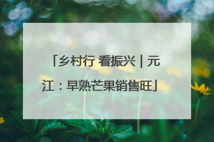 乡村行 看振兴｜元江：早熟芒果销售旺