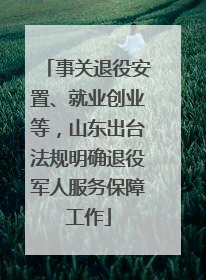 事关退役安置、就业创业等，山东出台法规明确退役军人服务保障工作