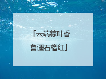 云端粽叶香 鲁疆石榴红
