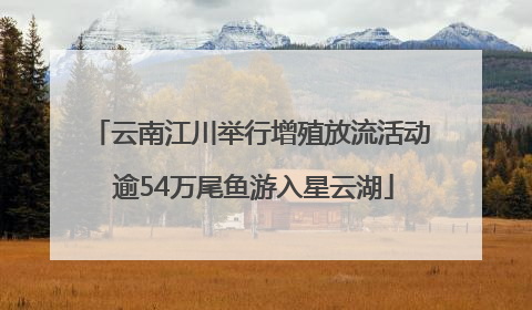 云南江川举行增殖放流活动 逾54万尾鱼游入星云湖