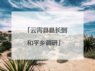云霄县县长到和平乡调研