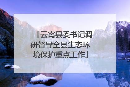 云霄县委书记调研督导全县生态环境保护重点工作