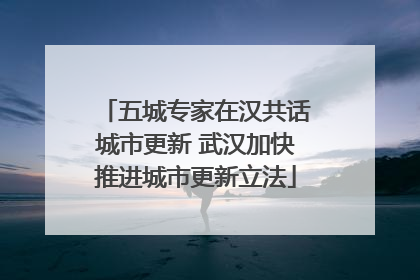 五城专家在汉共话城市更新 武汉加快推进城市更新立法