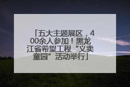 五大主题展区，400余人参加！黑龙江省希望工程“义卖童园”活动举行