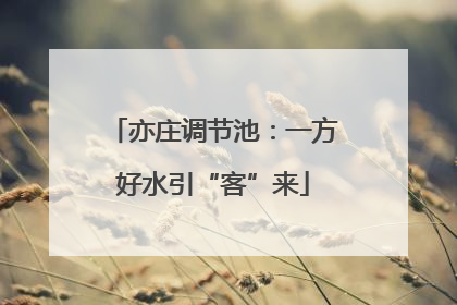 亦庄调节池：一方好水引“客”来