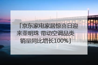 京东家电家居惊喜日迎来董明珠 带动空调品类销量同比增长100%