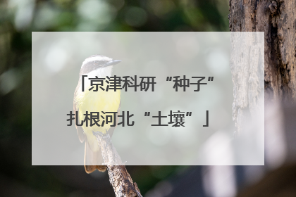 京津科研“种子”扎根河北“土壤”