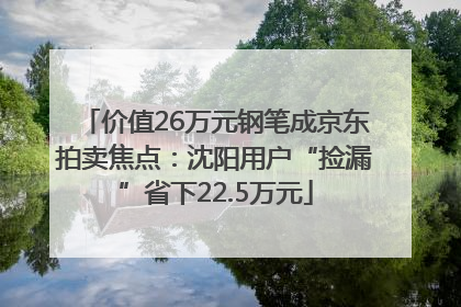 价值26万元钢笔成京东拍卖焦点：沈阳用户“捡漏”省下22.5万元