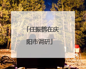 任振鹤在庆阳市调研