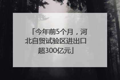 今年前5个月，河北自贸试验区进出口超300亿元