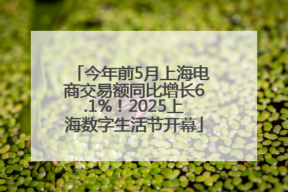 今年前5月上海电商交易额同比增长6.1%！2025上海数字生活节开幕
