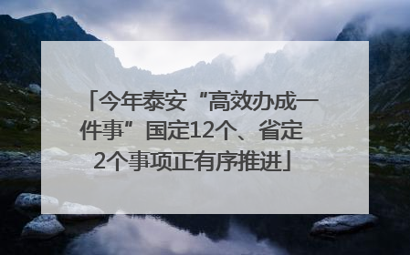 今年泰安“高效办成一件事”国定12个、省定2个事项正有序推进