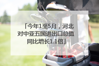 今年1至5月，河北对中亚五国进出口总值同比增长1.1倍