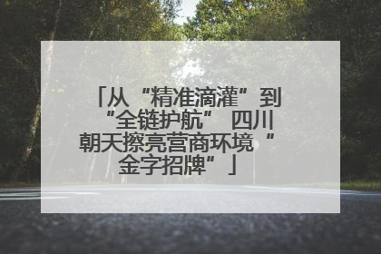 从“精准滴灌”到“全链护航” 四川朝天擦亮营商环境“金字招牌”