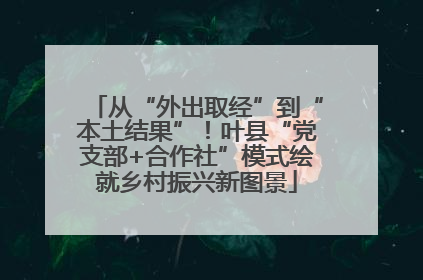 从“外出取经”到“本土结果”！叶县“党支部+合作社”模式绘就乡村振兴新图景