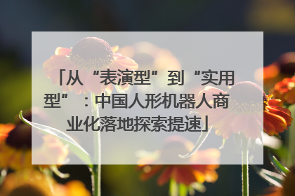 从“表演型”到“实用型”：中国人形机器人商业化落地探索提速