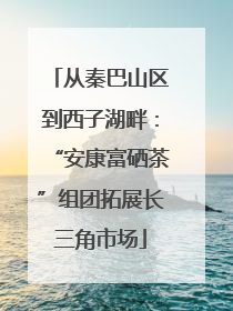 从秦巴山区到西子湖畔：“安康富硒茶”组团拓展长三角市场