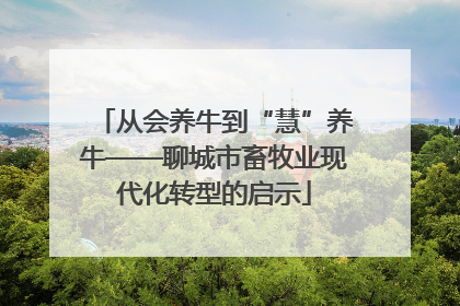 从会养牛到“慧”养牛——聊城市畜牧业现代化转型的启示