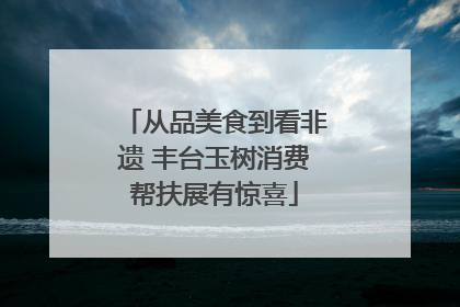 从品美食到看非遗 丰台玉树消费帮扶展有惊喜