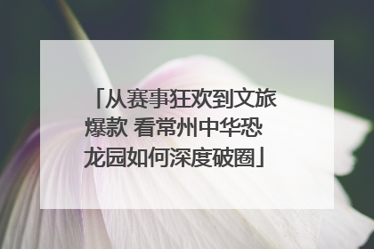 从赛事狂欢到文旅爆款 看常州中华恐龙园如何深度破圈