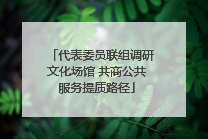 代表委员联组调研文化场馆 共商公共服务提质路径
