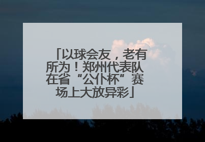 以球会友，老有所为！郑州代表队在省“公仆杯”赛场上大放异彩