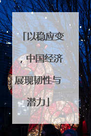 以稳应变，中国经济展现韧性与潜力