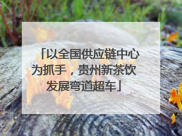 以全国供应链中心为抓手，贵州新茶饮发展弯道超车