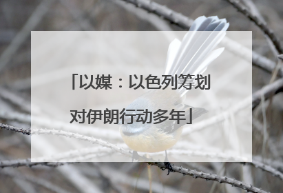 以媒：以色列筹划对伊朗行动多年