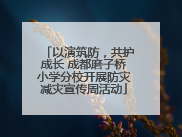 以演筑防，共护成长 成都磨子桥小学分校开展防灾减灾宣传周活动