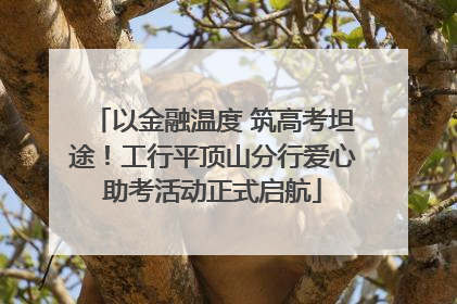 以金融温度 筑高考坦途！工行平顶山分行爱心助考活动正式启航