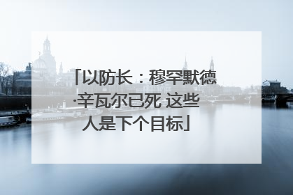 以防长：穆罕默德·辛瓦尔已死 这些人是下个目标