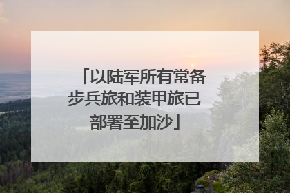 以陆军所有常备步兵旅和装甲旅已部署至加沙