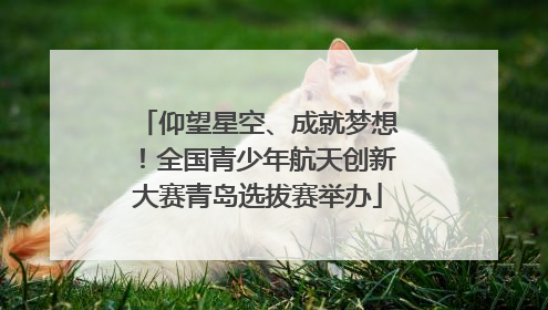 仰望星空、成就梦想！全国青少年航天创新大赛青岛选拔赛举办